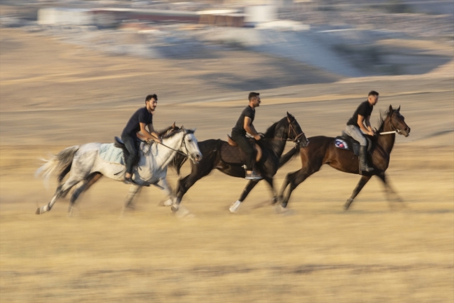 Ata sporunu yaşatmak için at çiftliği açtı