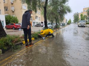 17 Ağaç Devrildi, Ekipler Sahada